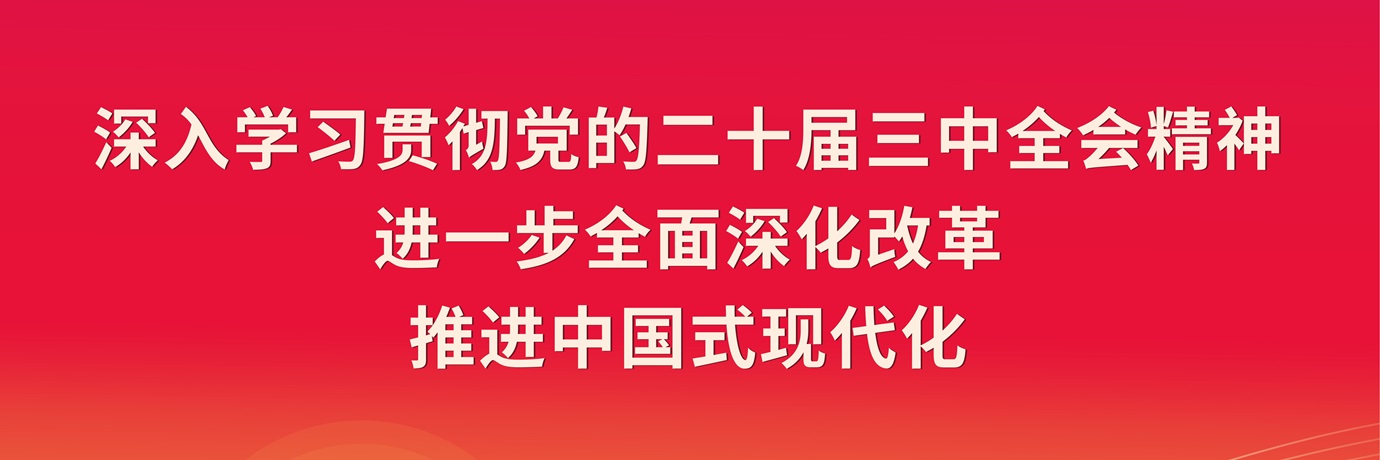 深入学习贯彻党的二十届三中全会精神